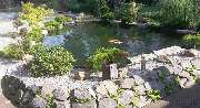 Teich World Manuela Wirtz-Prümm - 1