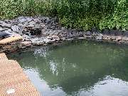 Teich World Manuela Wirtz-Prümm - 2