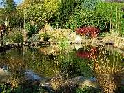 Teich World Manuela Wirtz-Prümm - 3