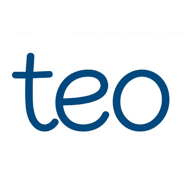 teo - LOGO