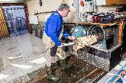 Teppichwäscherei Heyduck Reinigung- und Reparaturwerkstatt | Köln - Teppichwäscherei Heyduck | Köln