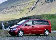 TERK - IMG_7141.jpeg