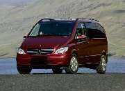 TERK - IMG_7142.jpeg