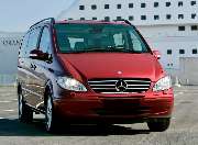 TERK - IMG_7143.jpeg