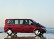 TERK - IMG_7144.jpeg