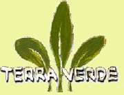 Terra Verde Gartengestaltung Sascha Green - 1