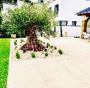 Terrassen Kreationen-Dani Zeciri-Terrassenbau Alfter - Terrassen Kreationen-Dani Zeciri-Terrassenbau Alfter