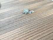 Terrassenbau Scheungraber - GALLERY