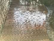 Terrassenbau Scheungraber - GALLERY