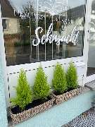 Tesori d Olivo LIEBLINGSSTÜCKE MIT Sehnsucht - GALLERY