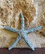 Tesori d Olivo LIEBLINGSSTÜCKE MIT Sehnsucht - GALLERY