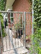 TG allesedelstahl - GALLERY