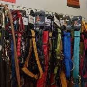 the animal store Susanne Trost - GALLERY