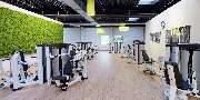 The GYM - GALLERY