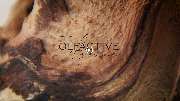 The Olfactive Avenue GmbH - GALLERY