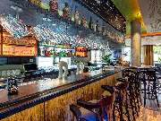 The Pub & Bar - GALLERY