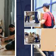 The World Of Phoenix GmbH - GALLERY