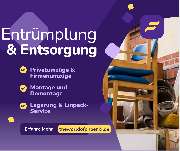 The World Of Phoenix GmbH - GALLERY