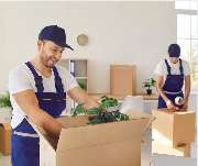 The World Of Phoenix GmbH - GALLERY