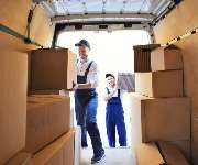 The World Of Phoenix GmbH - GALLERY