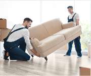 The World Of Phoenix GmbH - GALLERY