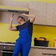 The World Of Phoenix GmbH - GALLERY