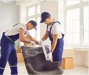 The World Of Phoenix GmbH - GALLERY