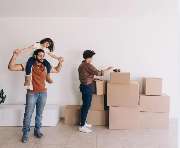 The World Of Phoenix GmbH - GALLERY