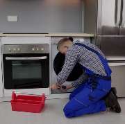 The World Of Phoenix GmbH - GALLERY