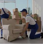 The World Of Phoenix GmbH - GALLERY