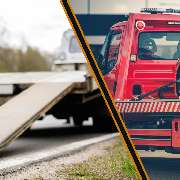 The World Of Phoenix GmbH - GALLERY