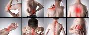 Theo Boekhorst Physioteam - GALLERY
