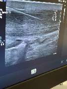 THERALANDO GmbH - GALLERY