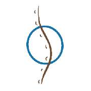 Therapiezentrum am Rosenhof Ergotherapie/ Osteopathie/ Naturheilkunde - LOGO