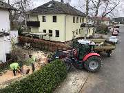 Thies Dölger Gartenbau - 7