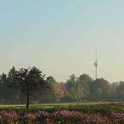 Thilo Rose Immobilien - 3