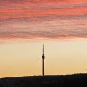 Thilo Rose Immobilien - 5