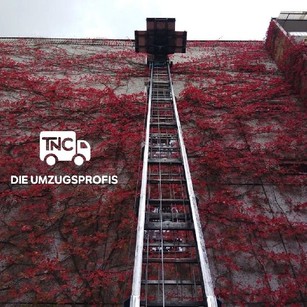 Thomas Czarnetzki - TNC - Die Umzugsprofis - TNC M …