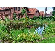 Thomas Echterhoff Garten- und Landschaftsbau - GALLERY