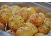 Thomas Fischer Eventcatering - GALLERY