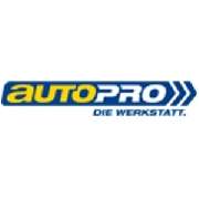 Thomas Giebel Reifen- und Kfz Service - LOGO