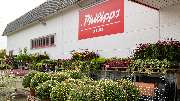 Thomas Philipps Bad Laer - GALLERY