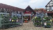 Thomas Philipps Herzberg am Harz - GALLERY