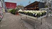 Thomas Philipps Kamp-Lintfort - GALLERY