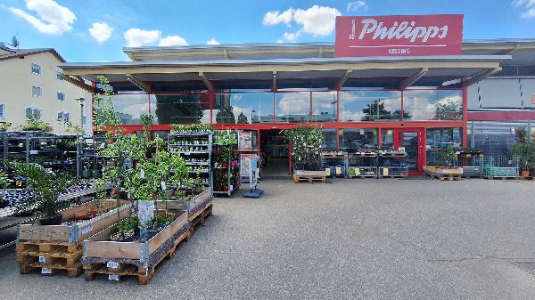 Thomas Philipps Kissing - GALLERY