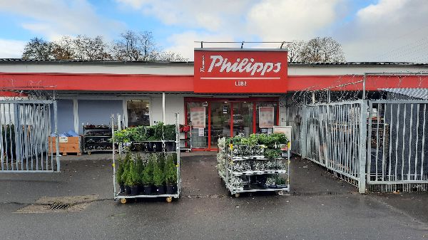 Thomas Philipps Lübz - GALLERY