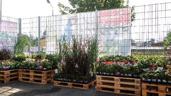 Thomas Philipps Lübz - GALLERY