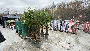 Thomas Philipps Neunkirchen (Saar) - GALLERY
