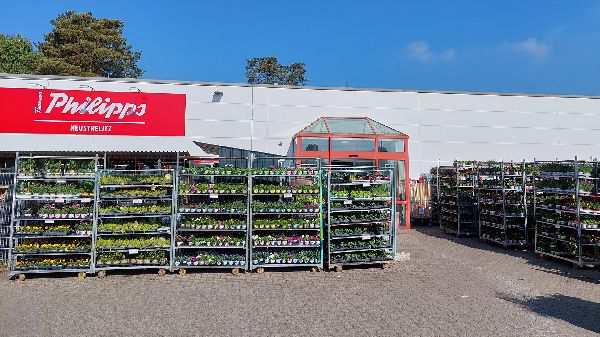 Thomas Philipps Neustrelitz - GALLERY