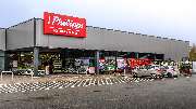 Thomas Philipps Rostock-Hinrichsdorf - GALLERY